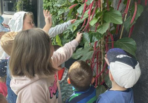 dzieci dotykają egzotycznej rośliny